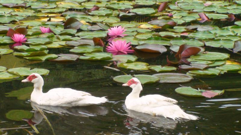 גלוצ'סטר Nirvana Spiritual Retreat מראה חיצוני תמונה